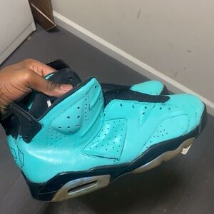 Jordan 6 custom